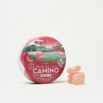 Kiva - Gummies - Camino - Watermelon Spritz 100mg